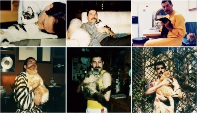 Fotografías personales nunca antes vistas de Freddie Mercury se venderán en una subasta
