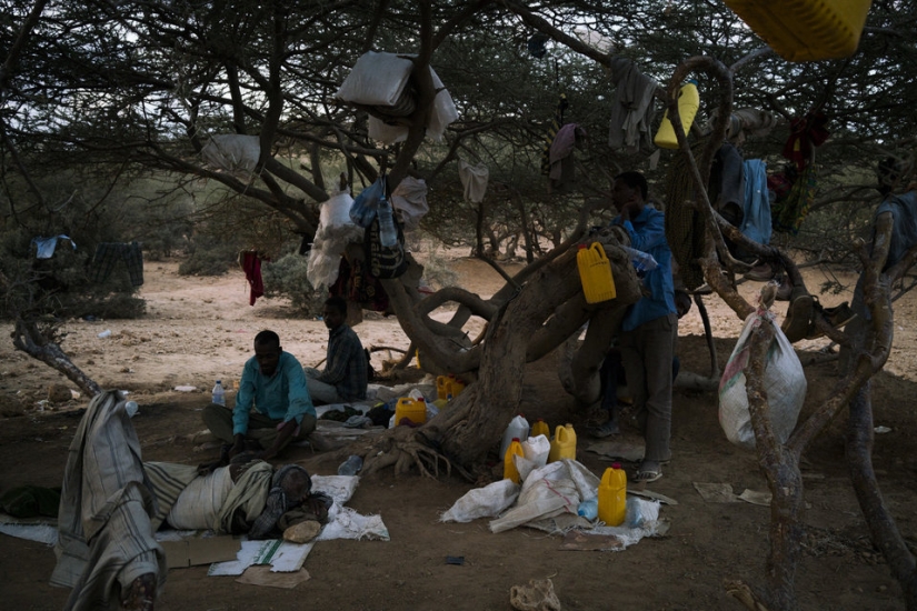 Fotografías tomadas por Courage in Photojournalism Award Winner