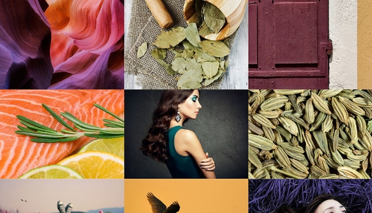 Fotos en colores de moda para la temporada otoño 2015 según un informe del Instituto Pantone