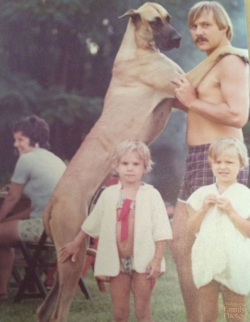 Fotos familiares muy extrañas con mascotas