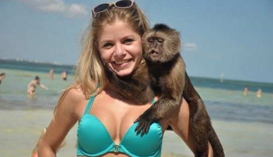 fotos graciosas de la playa