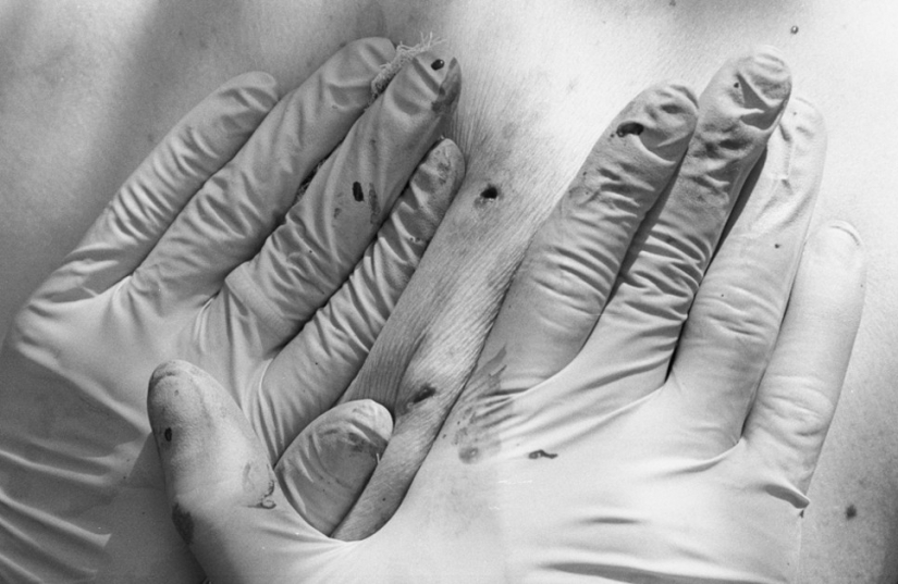 Fotos impactantes: En ganchos