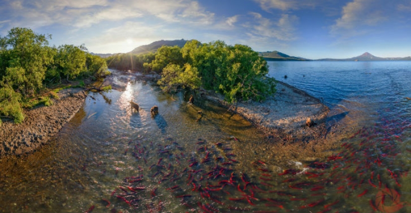 Fotos únicas de los rincones salvajes del país en el festival Rusia Primordial