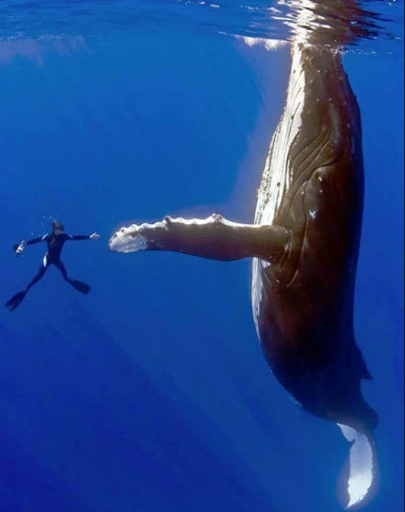 Fotos que "explotaron" Internet Fotos que "explotaron" Internet