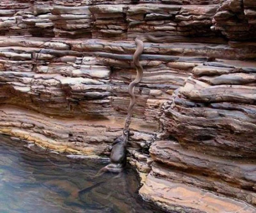 Fotos que "explotaron" Internet Fotos que "explotaron" Internet