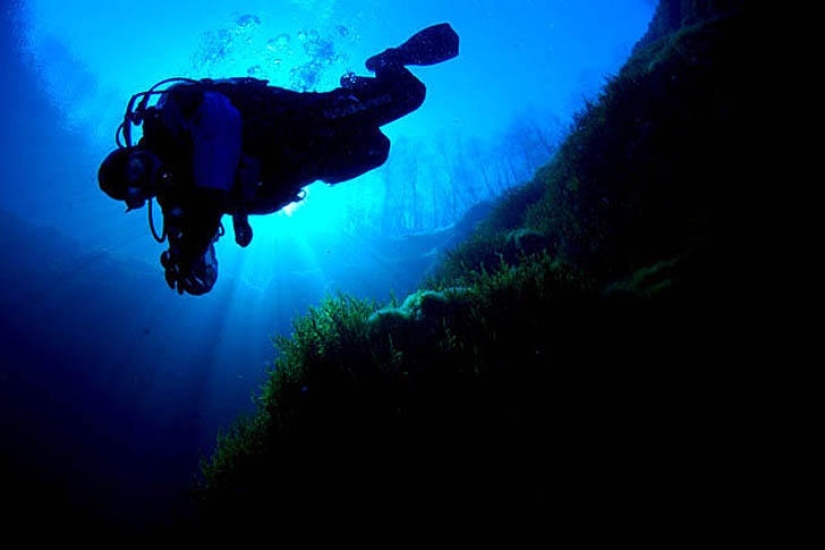 Fotos submarinas de Vyacheslav Plotnikov