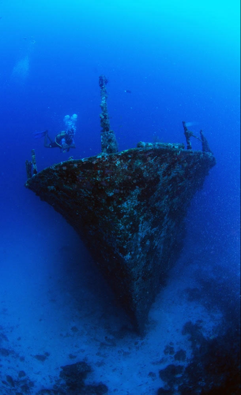 Fotos submarinas de Vyacheslav Plotnikov