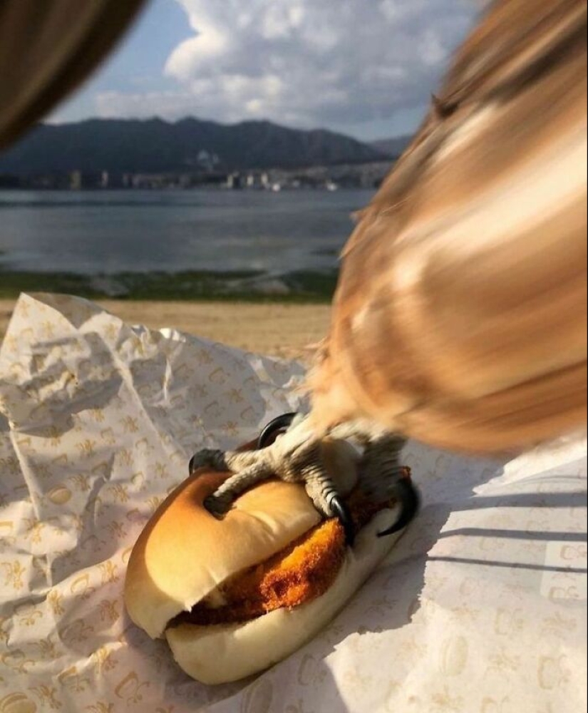 “Fotos tomadas antes del desastre”: 15 fotografías que presagian eventos desafortunados “Fotos tomadas antes del desastre”: 15 fotografías que presagian eventos desafortunados