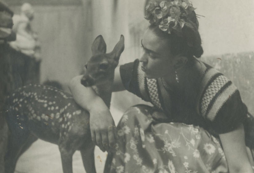 Fotos y cartas de amor secretas de Frida Kahlo Fotos y cartas de amor secretas de Frida Kahlo