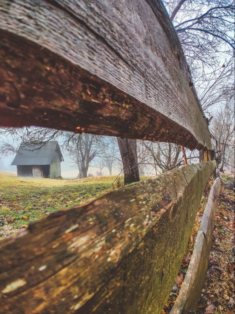 “Framed Moments”: 14 Photos That I Took