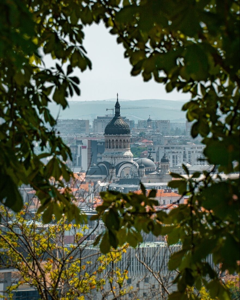 “Framed Moments”: 14 Photos That I Took