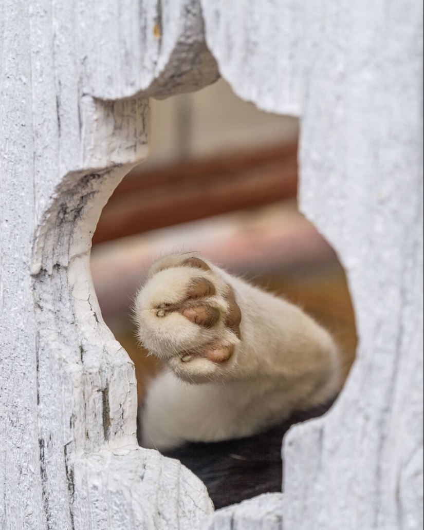 “Framed Moments”: 14 Photos That I Took