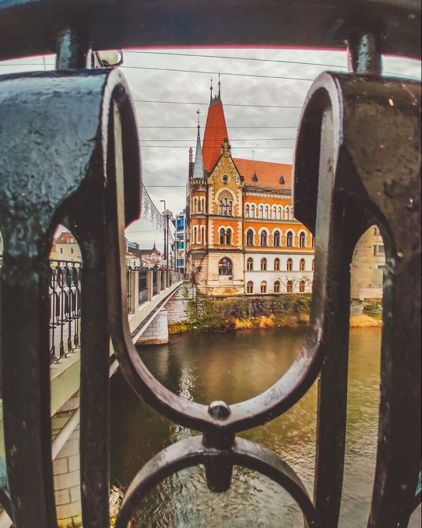 “Framed Moments”: 14 Photos That I Took