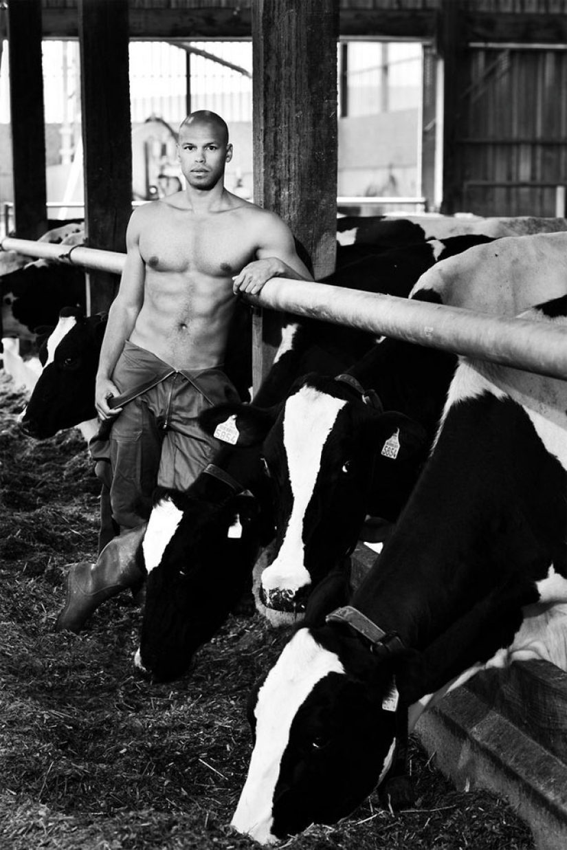 French farmers stripped down for a fertile 2017 calendar French farmers stripped down for a fertile 2017 calendar