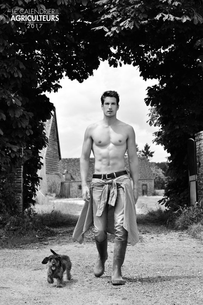 French farmers stripped down for a fertile 2017 calendar French farmers stripped down for a fertile 2017 calendar
