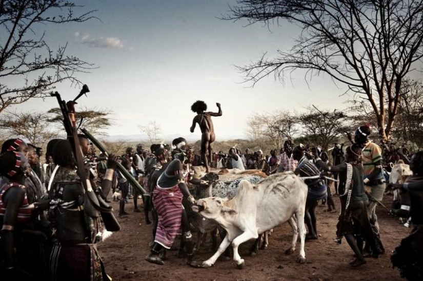 África desde el amanecer hasta el atardecer: viaje de un día