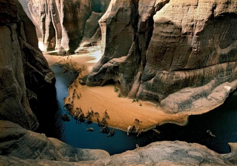 África desde el amanecer hasta el atardecer: viaje de un día