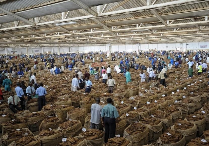 África desde el amanecer hasta el atardecer: viaje de un día