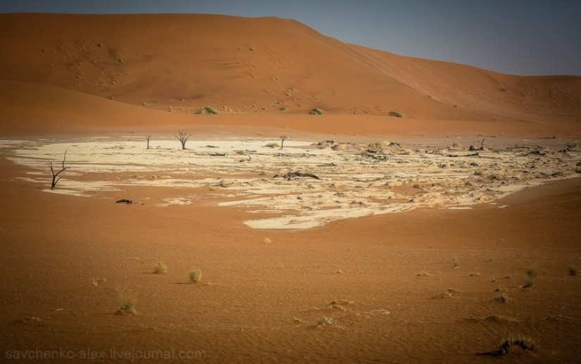 África. Namibia. Desierto de Namib - Sossusvlei África. Namibia. Desierto de Namib - Sossusvlei