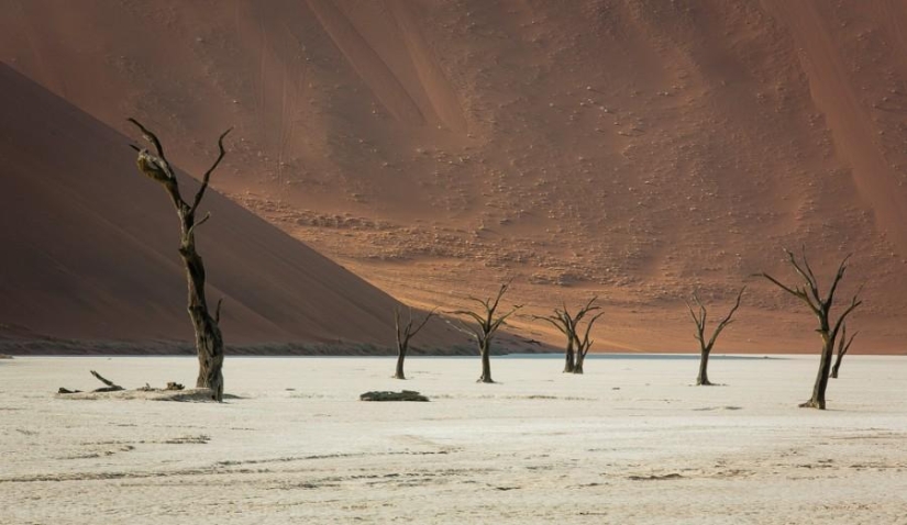 África. Namibia. Desierto de Namib - Sossusvlei África. Namibia. Desierto de Namib - Sossusvlei