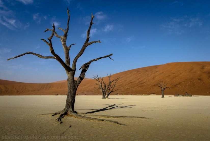 África. Namibia. Desierto de Namib - Sossusvlei África. Namibia. Desierto de Namib - Sossusvlei