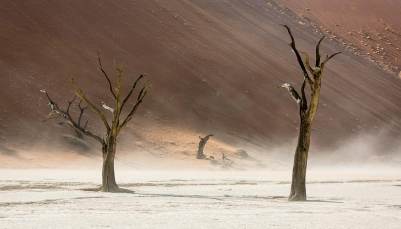 África. Namibia. Desierto de Namib - Sossusvlei África. Namibia. Desierto de Namib - Sossusvlei