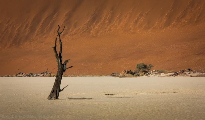 África. Namibia. Desierto de Namib - Sossusvlei África. Namibia. Desierto de Namib - Sossusvlei