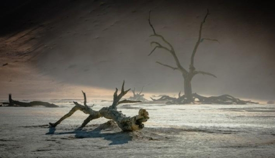 África. Namibia. Desierto de Namib - Sossusvlei