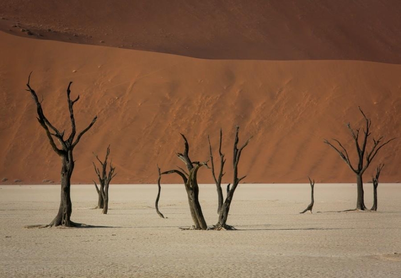 África. Namibia. Desierto de Namib - Sossusvlei África. Namibia. Desierto de Namib - Sossusvlei