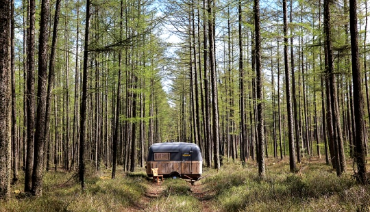 From the office to the forest!