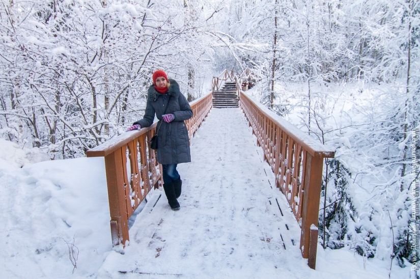 “Frozen, but not frozen” - Kivach waterfall in winter
