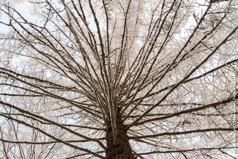 “Frozen, but not frozen” - Kivach waterfall in winter