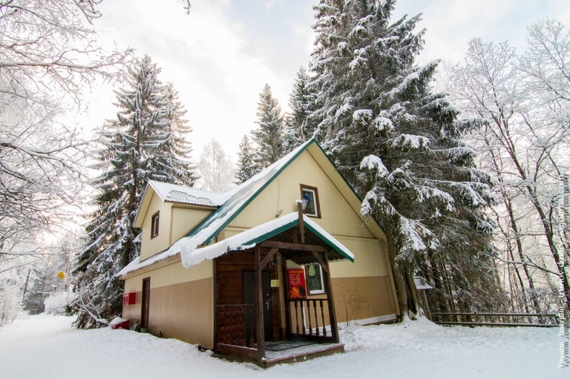 “Frozen, but not frozen” - Kivach waterfall in winter