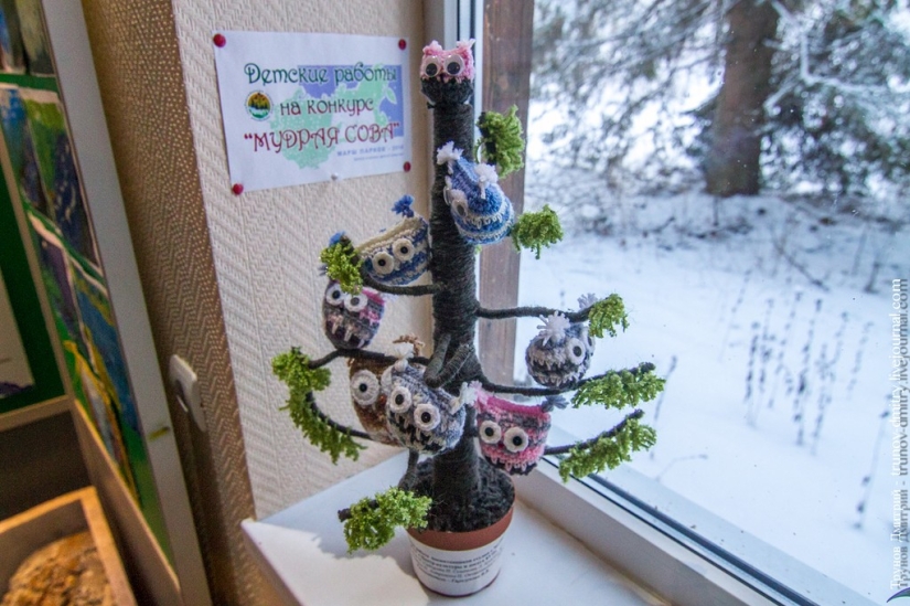 “Frozen, but not frozen” - Kivach waterfall in winter