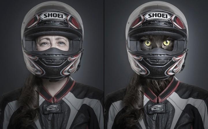 Funny photo series of cats and their owners Funny photo series of cats and their owners