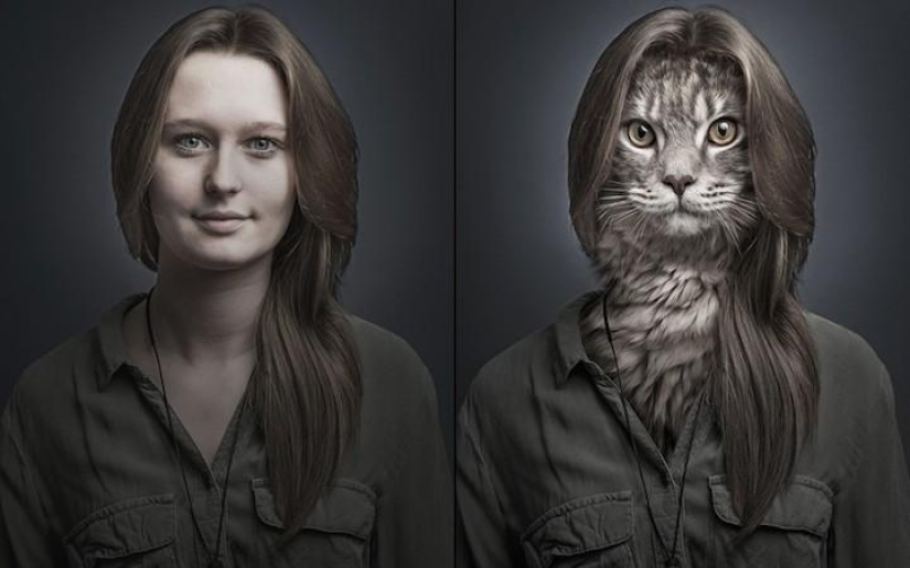 Funny photo series of cats and their owners Funny photo series of cats and their owners