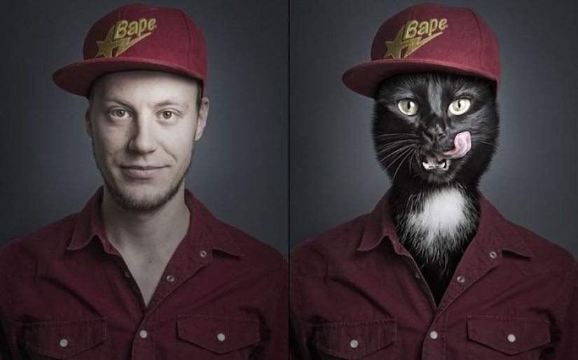 Funny photo series of cats and their owners Funny photo series of cats and their owners