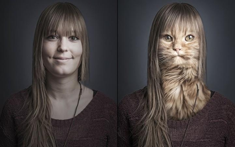 Funny photo series of cats and their owners Funny photo series of cats and their owners