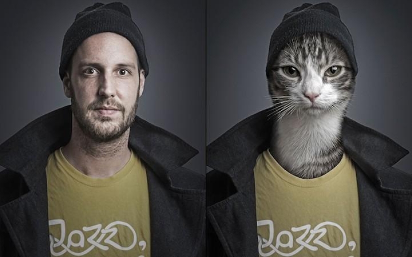 Funny photo series of cats and their owners Funny photo series of cats and their owners