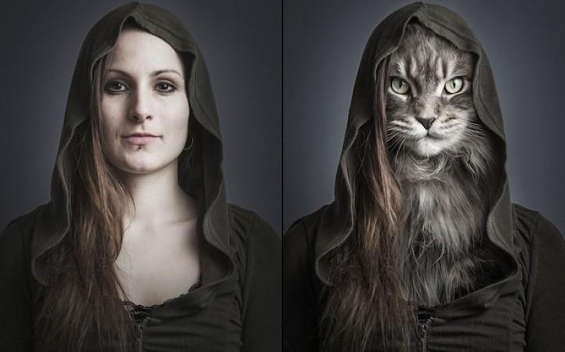 Funny photo series of cats and their owners Funny photo series of cats and their owners