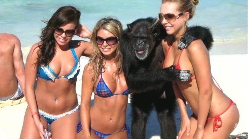 Funny photos from the beach Funny photos from the beach