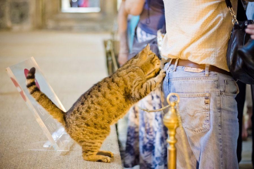 Furry owner of Hagia Sophia Furry owner of Hagia Sophia