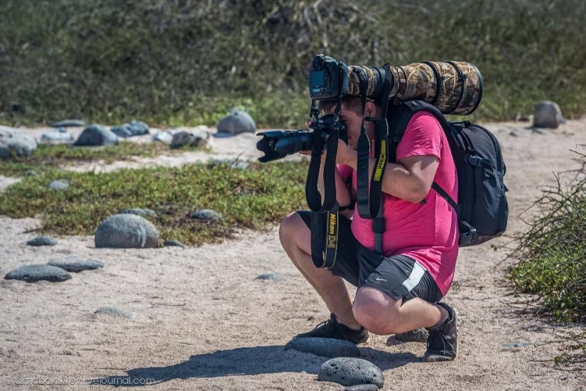 Galapagos. Santa Fe Island Galapagos. Santa Fe Island