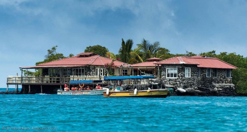 Galapagos. Santa Fe Island Galapagos. Santa Fe Island