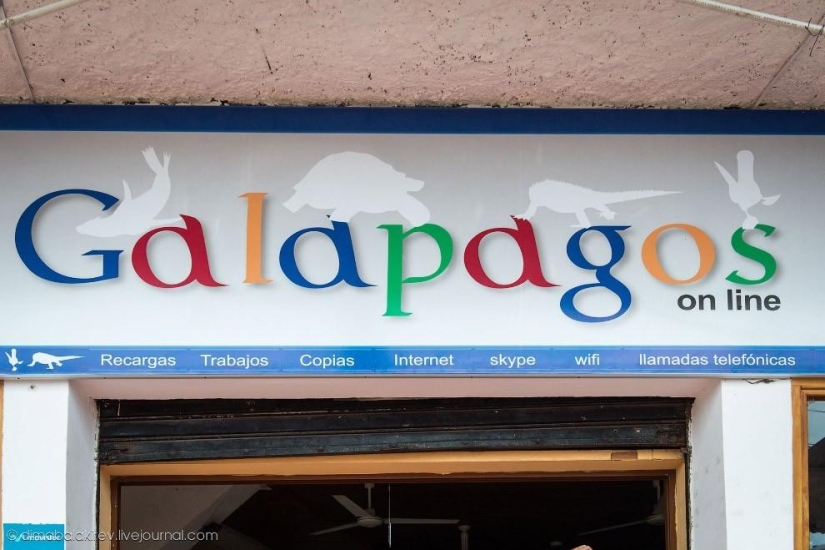 Galapagos. Santa Fe Island Galapagos. Santa Fe Island
