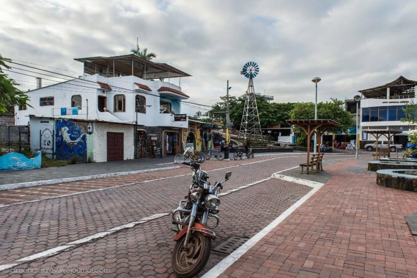 Galapagos. Santa Fe Island Galapagos. Santa Fe Island
