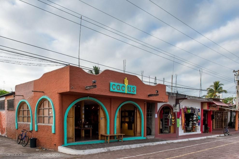 Galápagos. Isla Santa Fe Galápagos. Isla Santa Fe