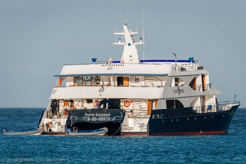 Galápagos. Isla Santa Fe Galápagos. Isla Santa Fe