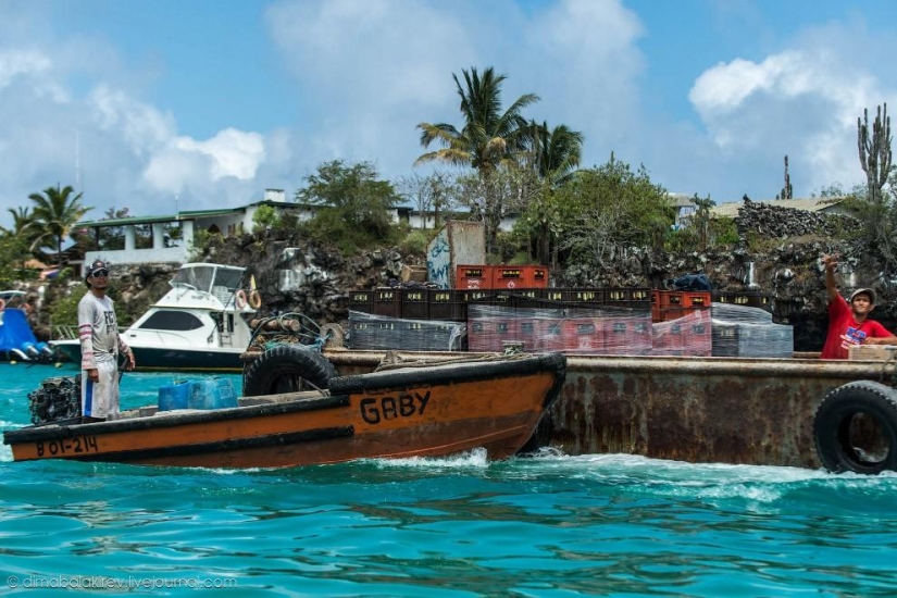 Galápagos. Isla Santa Fe Galápagos. Isla Santa Fe