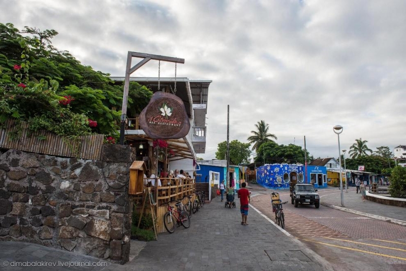 Galápagos. Isla Santa Fe Galápagos. Isla Santa Fe